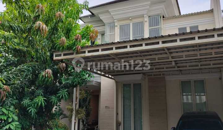Rumah Pakuwon Indah The Mansion Full Furnish Mewah 5 M Rumah Pakuwon Indah The Mansion Full Furnish Mewah 5 M