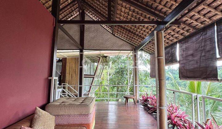 Dijual Private Villa Bagus Tegalalang Ubud View Alam  1