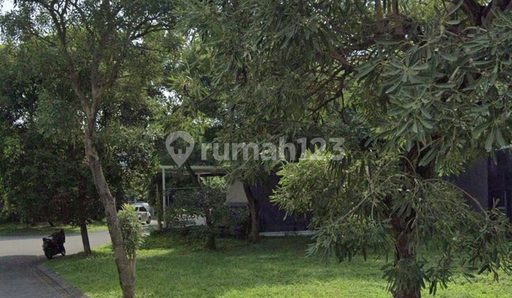 Land Palma Classica Citraland Cheap Half Must Sell Immediately