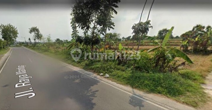 TANAH MURAH BU RAYA MANTUP LAMONGAN 1