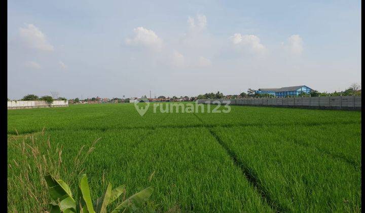 Dijual Tanah Komersil Luas Dan Murah di Karawang Barat Jawa Barat 1