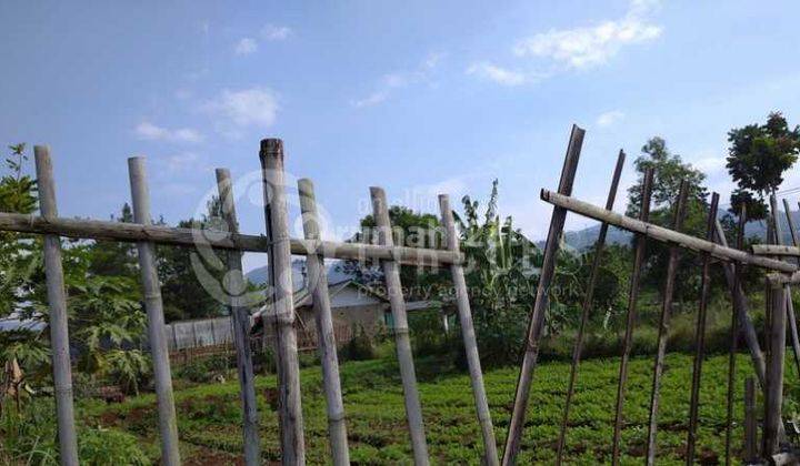 Tanah Bagus Dibikin Perumahan Sih Keren Loh di Cigadung Bandung 1