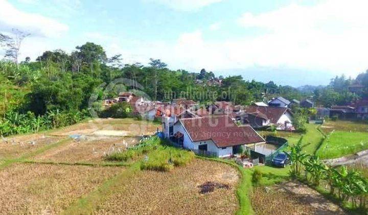 Tanah Bagus Dibikin Perumahan Sih Keren Loh di Cigadung Bandung 2