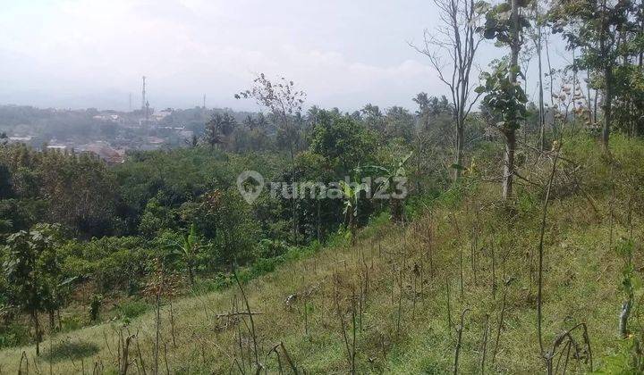 Tanah Luas,cocok Bikin Perumahan,gudang,di Jatinangor Murah 2