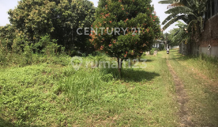 Dijual Tanah Zona Industri Di Pasar Kemis Tangerang