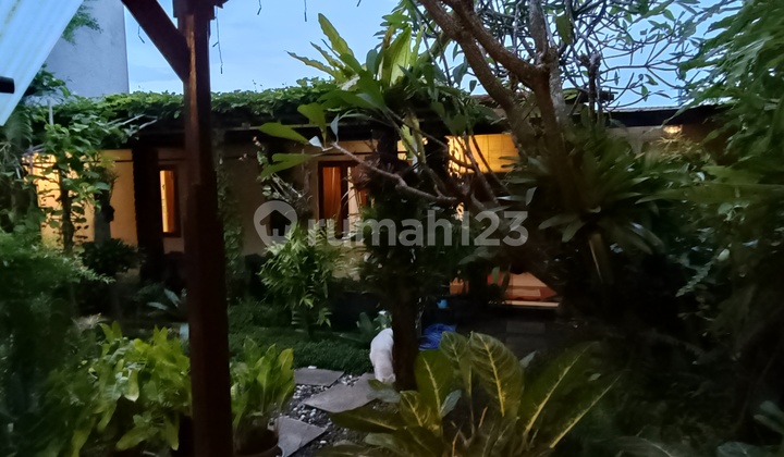 Rumah Strategis Taman Besar Cocok Guest House Taman Griya Jimbaran Bali 2