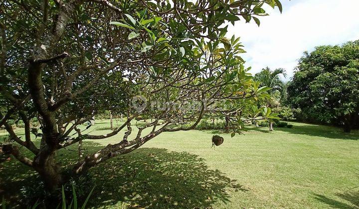 Villa Taman Luas Pering Gianyar Bali 2