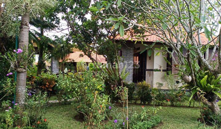 Villa Taman Luas Pering Gianyar Bali 13