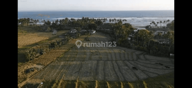 Tanah Dekat Pantai Cemagi Mengwi Badung Bali 2