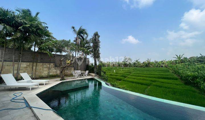 Villa Tropical Rice Field View Canggu Bali 1