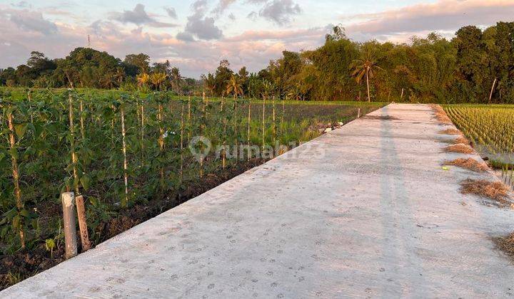 Tanah Dekat Pantai Kedungu Tabanan Bali 2