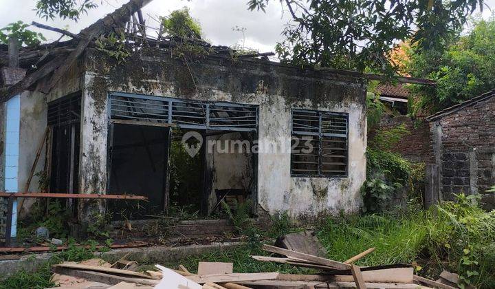 Tanah Termurah Cocok Villa Tibubeneng Canggu Bali  2