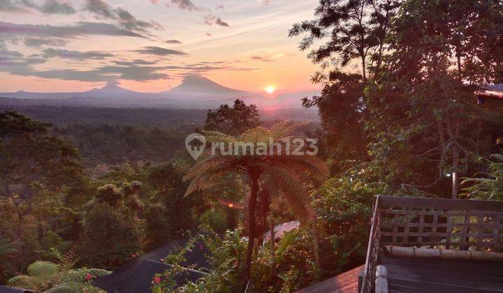 Glamping Land View of Mount Jatiluwih Tabanan Bali 1