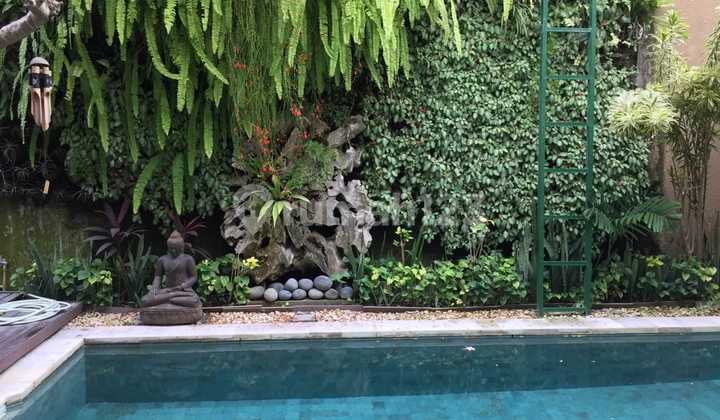 Rumah Strategis Tropical Hayam Wuruk Renon Denpasar Bali 2