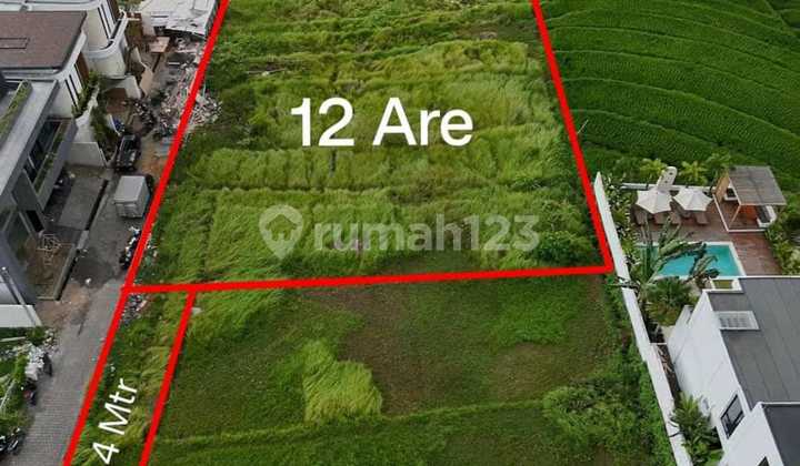 Tanah View Sawah Pantai Nyanyi Tabanan Bali 1