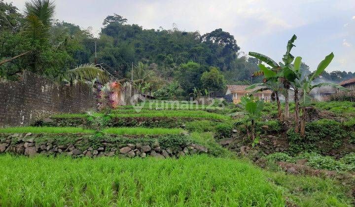 Tanah dijual di Gunung Bunder Pamijahan Bogor 1