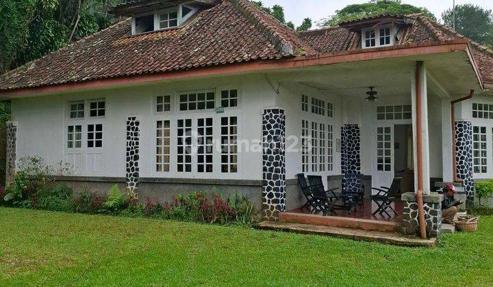 Villa Dijual Di Puncak Pass Cianjur Jawa Barat 1