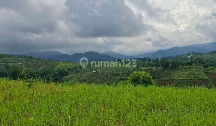 Tanah Dijual Di Puncak, Sukaresmi Cianjur Jawa Barat 2