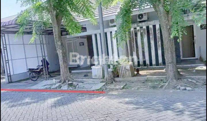 RUMAH DI FLAMBOYAN SETIA BUDI MEDAN SELAYANG 1