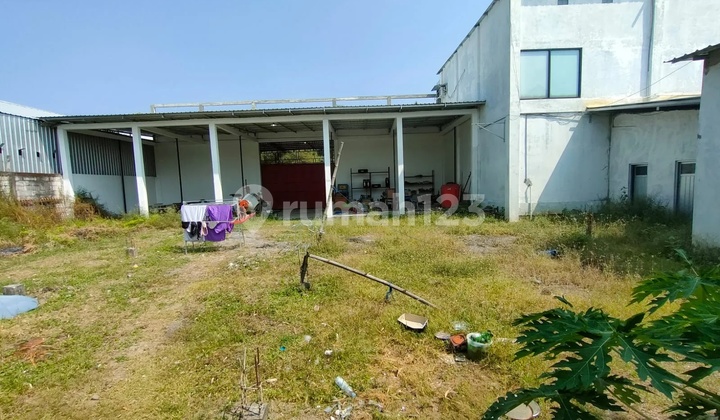 Tyas- Warehouse for rent at NORTH KLITIK BRIDGE, Geneng, Ngawi Tyas- Warehouse for rent at NORTH KLITIK BRIDGE, Geneng, Ngawi