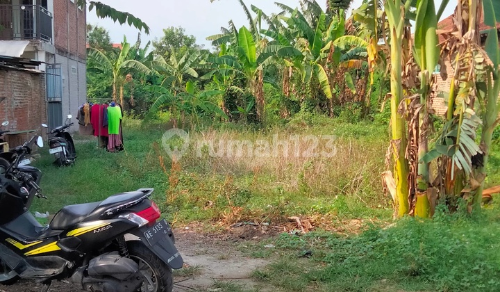 TYAS- DiJual Tanah di JALAN SEDORO , Taman , Madiun TYAS- DiJual Tanah di JALAN SEDORO , Taman , Madiun