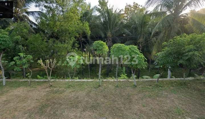 DEWI - Land for Sale in SIDOMULYO, NGADIROJO SUB-DISTRICT, PACITAN REGENCY