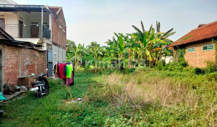 TYAS- DiJual Tanah di JALAN SEDORO , Taman , Madiun TYAS- DiJual Tanah di JALAN SEDORO , Taman , Madiun