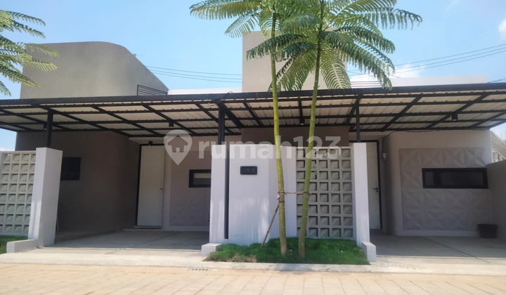 For Sale: House in Pilangrejo, Wungu, Madiun. For Sale: House in Pilangrejo, Wungu, Madiun.