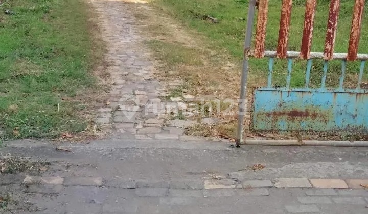 TYAS- DiJual Tanah di SETIA BUDI TIMUR , Kartoharjo , Madiun TYAS- DiJual Tanah di SETIA BUDI TIMUR , Kartoharjo , Madiun