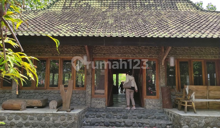 DEWI- DiJual Gedung/Ruang Usaha di JALAN RAYA DUNGUS MOJOPURNO KABUPATEN MADIUN 