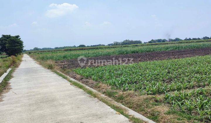 Taufik - DiJual Tanah di DESA SAKETI MOJOAGUNG , Mojoagung , Jombang 2