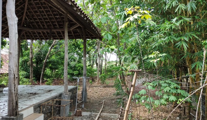 Tyas- DiJual Rumah di JALAN RAYA DUNGUS MADIUN , Wungu , Madiun 2