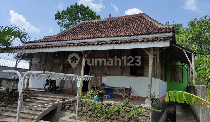 TYAS- DiJual Tanah di NGRAYUNG MOJOPURNO, DI DEKAT PERUM ELWANA , Kartoharjo , Madiun TYAS- DiJual Tanah di NGRAYUNG MOJOPURNO, DI DEKAT PERUM ELWANA , Kartoharjo , Madiun