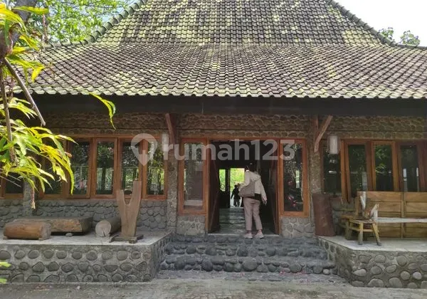Nsni Dijual Lain-Lain di Jalan Raya Dungus , Wungu , Madiun , Jawa Timur 0852xxxxxxxx Nsni Dijual Lain-Lain di Jalan Raya Dungus , Wungu , Madiun , Jawa Timur 0852xxxxxxxx