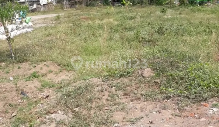 Taufik - DiJual Tanah di DESA BELAHAN TENGAH , Mojosari , Mojokerto Taufik - DiJual Tanah di DESA BELAHAN TENGAH , Mojosari , Mojokerto