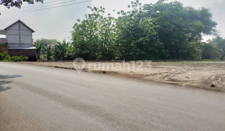 Taufik - DiJual Tanah di KUPANG JETIS , Jetis , Mojokerto Taufik - DiJual Tanah di KUPANG JETIS , Jetis , Mojokerto