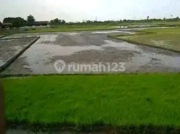 Taufik - DiJual Tanah di SUGO DESA TAMBAKREJO NGORO , Ngoro , Mojokerto Taufik - DiJual Tanah di SUGO DESA TAMBAKREJO NGORO , Ngoro , Mojokerto