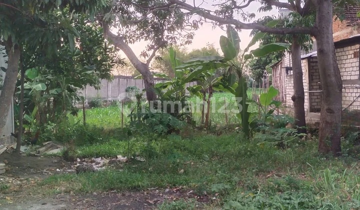 Taufik - DiJual Tanah di JL RAYA SURABAYA-BOJONEGORO , Baureno , Bojonegoro Taufik - DiJual Tanah di JL RAYA SURABAYA-BOJONEGORO , Baureno , Bojonegoro