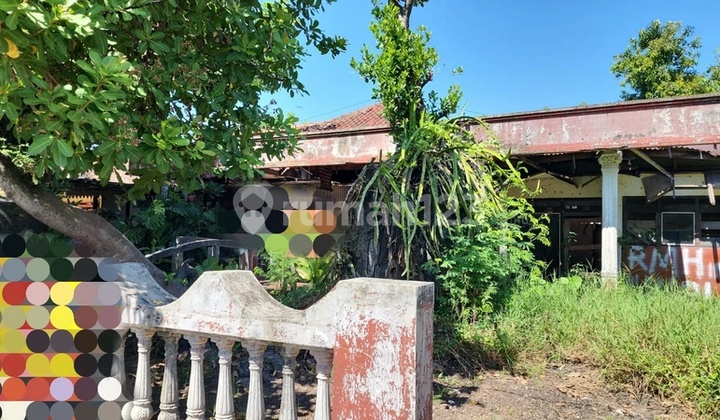 Frida- DiJual Rumah di TULANGAN KENONGO , Tulangan , Sidoarjo , Jawa Timur

Deskripsi Properti, 
Transaksi : Jual
Tipe : Rumah
Alamat : TULANGAN KENONGO
Lokasi : Tulangan , Sidoarjo , Jawa Timur
Sertifikat : SHM
Luas Tanah : 700 m2
Luas Bangunan : 300 m2
 2