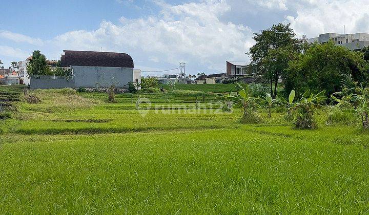 Tanah Kavling di Canggu 1
