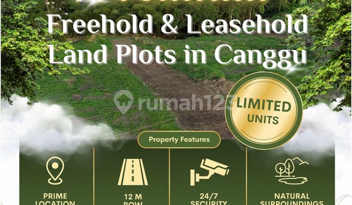 Tanah Kavling Premium Di Canggu Dekat Ke Pererenan Tanah Kavling Premium Di Canggu Dekat Ke Pererenan