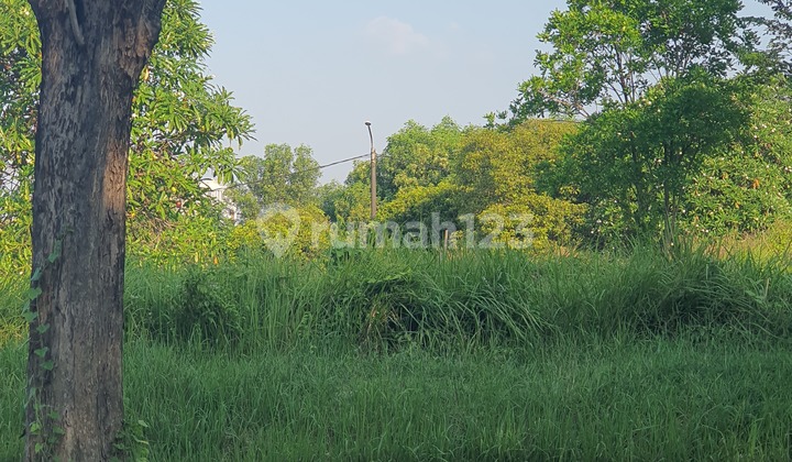 Dijual Tanah Kavling Siap Bangun di Jalan Utama Taman SImpruk Lippo Ckarang Dijual Tanah Kavling Siap Bangun di Jalan Utama Taman SImpruk Lippo Ckarang