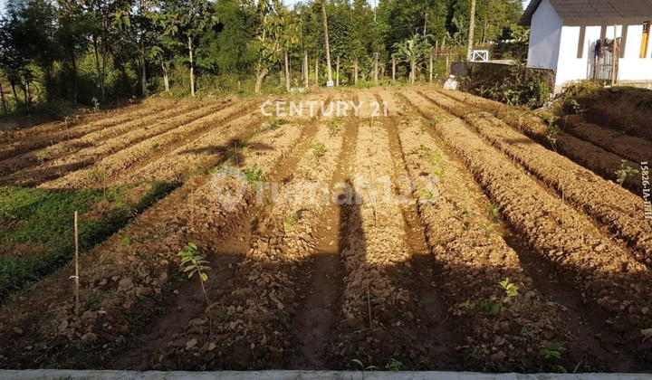 Dijual Cepat Villa di Cipeundeuy Sukabumi Suasana Tenang Nyaman 2