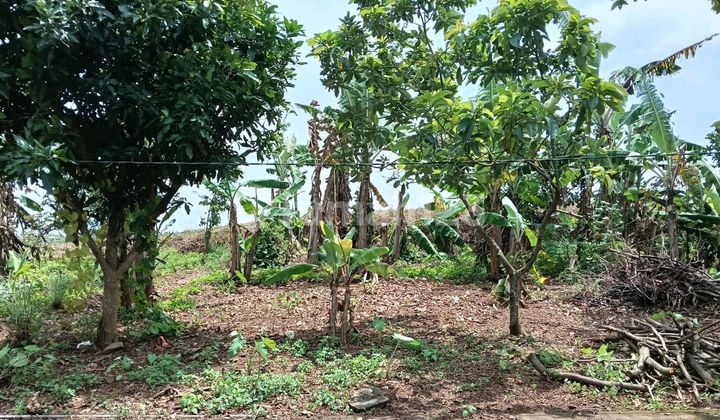 Ready to Build Land Near Mijen Market Bsb Semarang 1