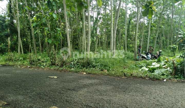 Mijen Land Strategic Adjacent to Main Road Near BSB 1