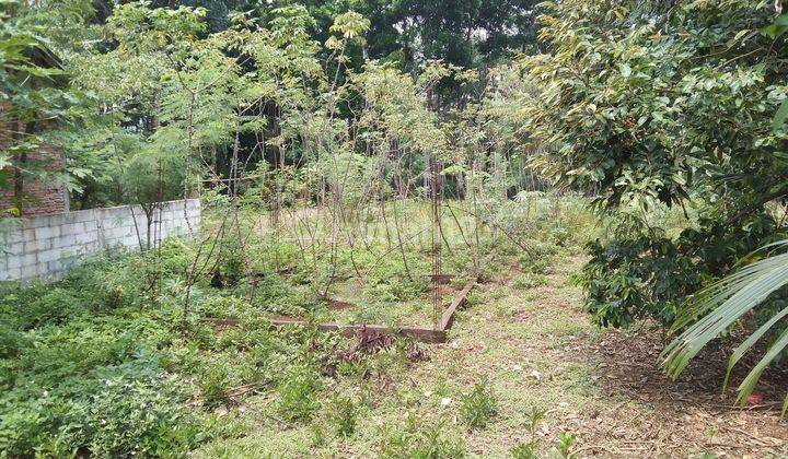 Rumah Gunung Pati Murah 2 Lantai Belakang Terminal Gunung Pati 2