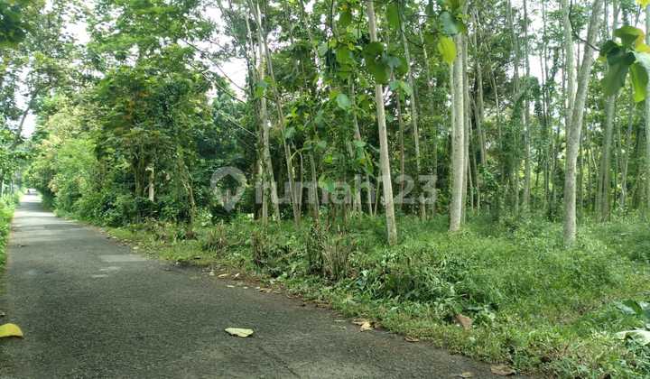 Mijen Land Strategic Adjacent to Main Road Near BSB 2