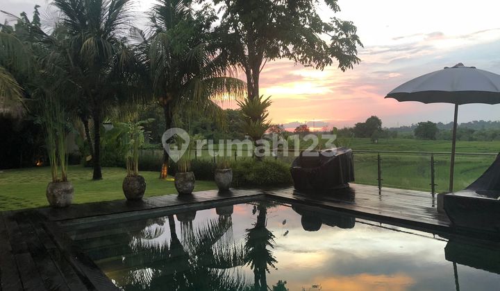 Villa Mewah Di Seseh View Sawah Dan Sunset Luas Siap Huni Villa Mewah Di Seseh View Sawah Dan Sunset Luas Siap Huni