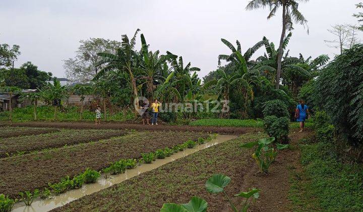 Lahan Cimone Super Murah, Kotamadya Tangerang 2