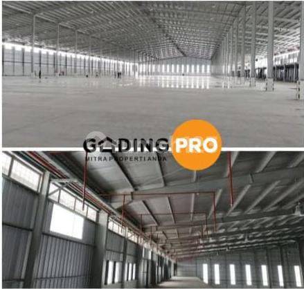 Gudang Di Marunda 2 Modern Warehouse Grade 1